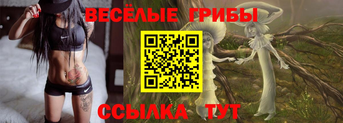 Гурьевск  Псилоцибиновые грибы мицелий  Вход с VPN  Псилоцибиновые грибы прущие грибы 